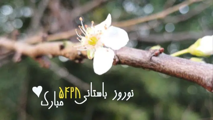 nowruz5428-sidbar.webp